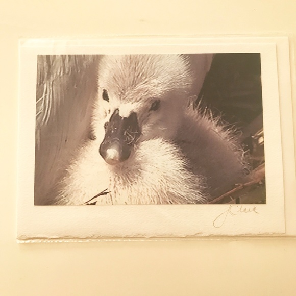 PHOTO GREETING CARDS - Picture 4 of 7